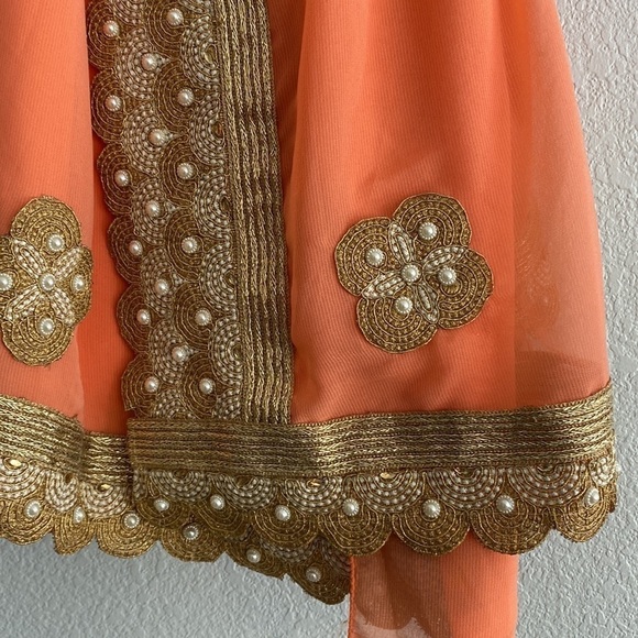 Pakistani Indian Saree - Picture 5 of 5